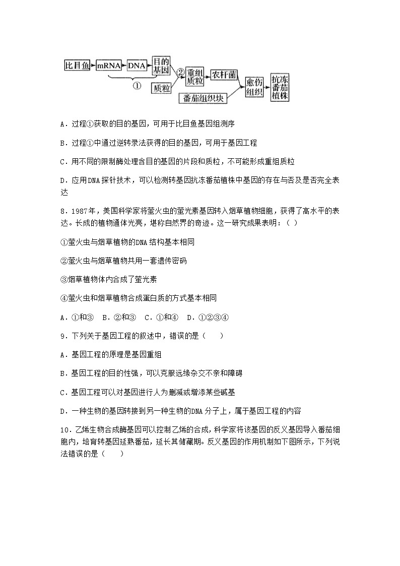 北师大版高中生物选择性必修3第一节基因工程的原理课堂作业含答案203