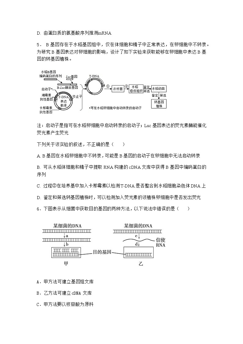 北师大版高中生物选择性必修3第三节基因工程的操作程序课堂作业含答案102
