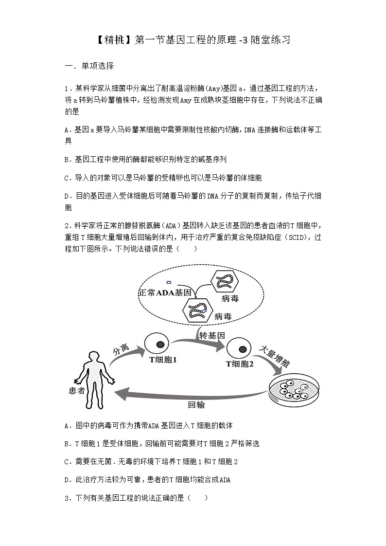 北师大版高中生物选择性必修3第一节基因工程的原理随堂作业含答案3第1页