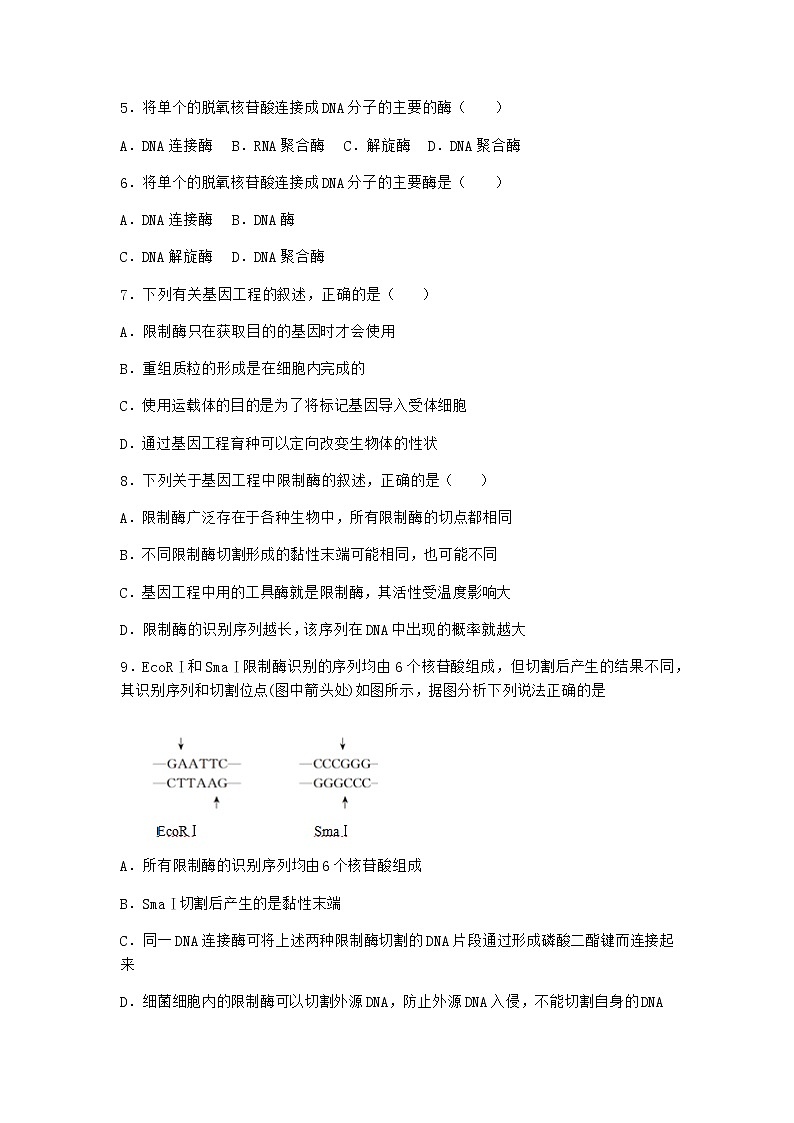 北师大版高中生物选择性必修3第一节基因工程的原理随堂作业含答案402