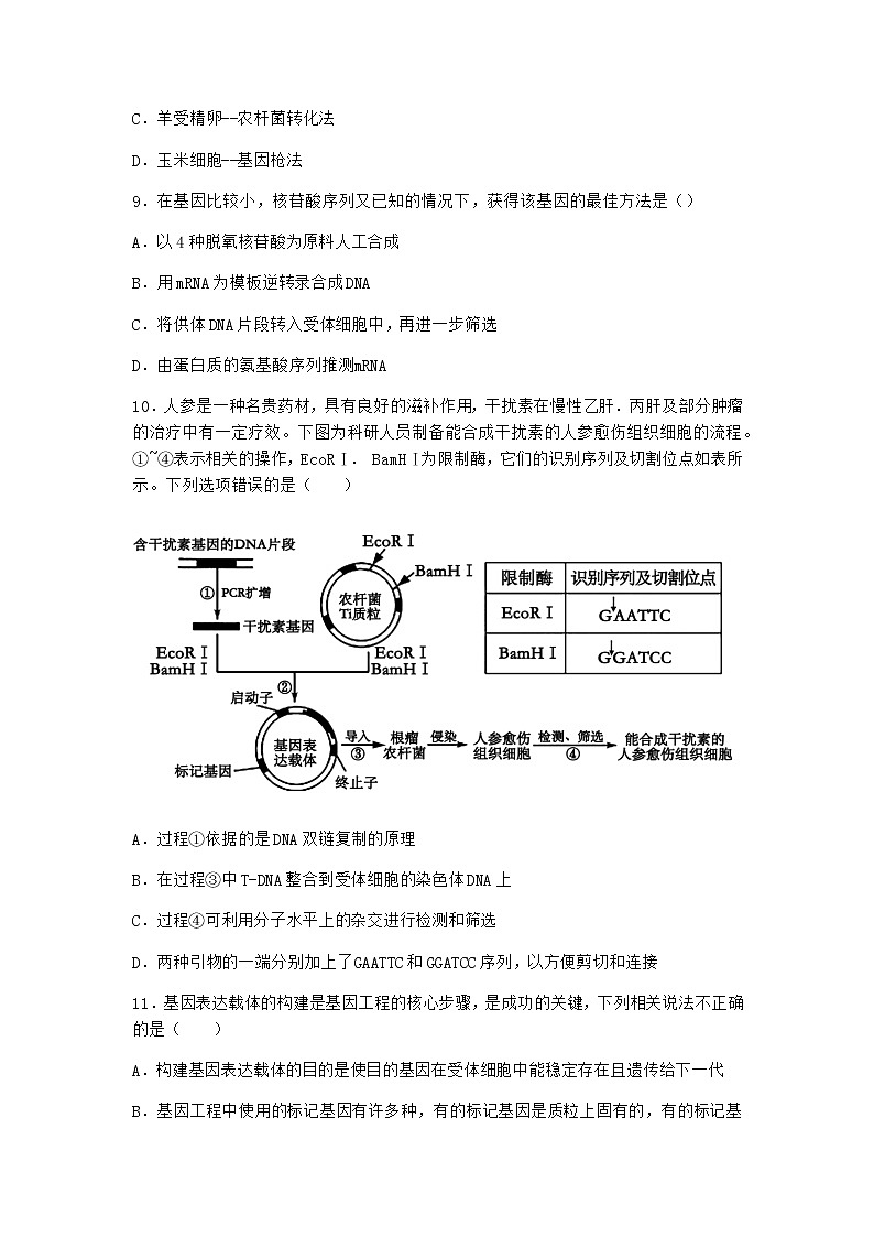 北师大版高中生物选择性必修3第三节基因工程的操作程序随堂作业含答案103
