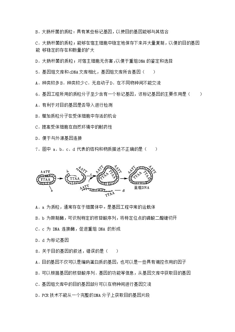 北师大版高中生物选择性必修3第三节基因工程的操作程序随堂作业含答案2第2页