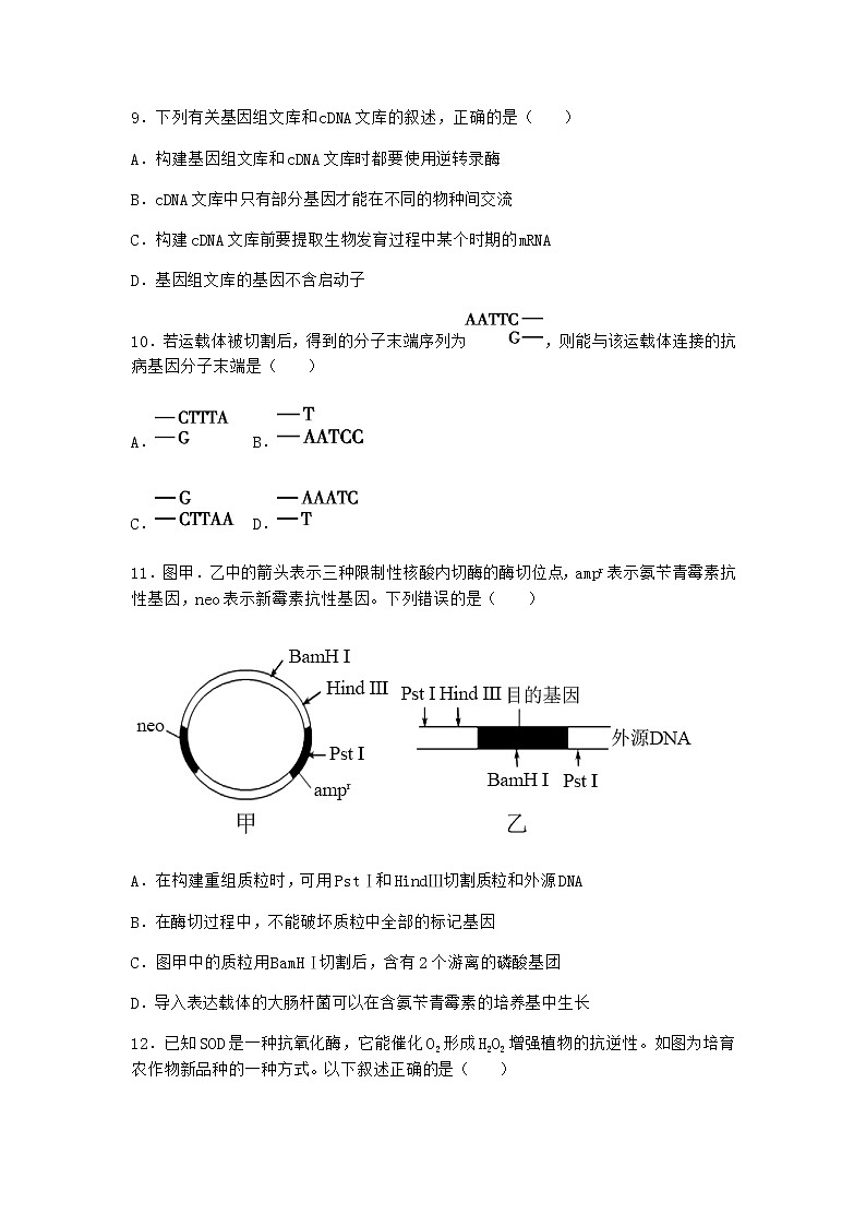 北师大版高中生物选择性必修3第三节基因工程的操作程序随堂作业含答案2第3页