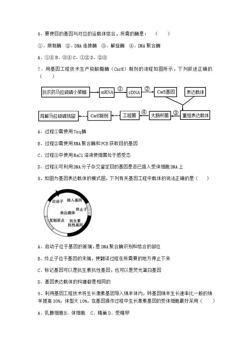 北师大版高中生物选择性必修3第三节基因工程的操作程序随堂作业含答案403