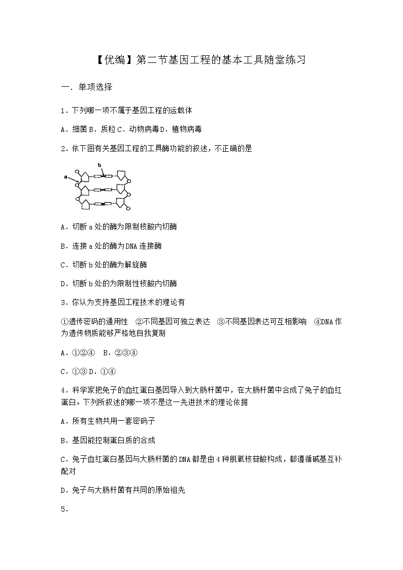 北师大版高中生物选择性必修3第二节基因工程的基本工具随堂作业含答案101