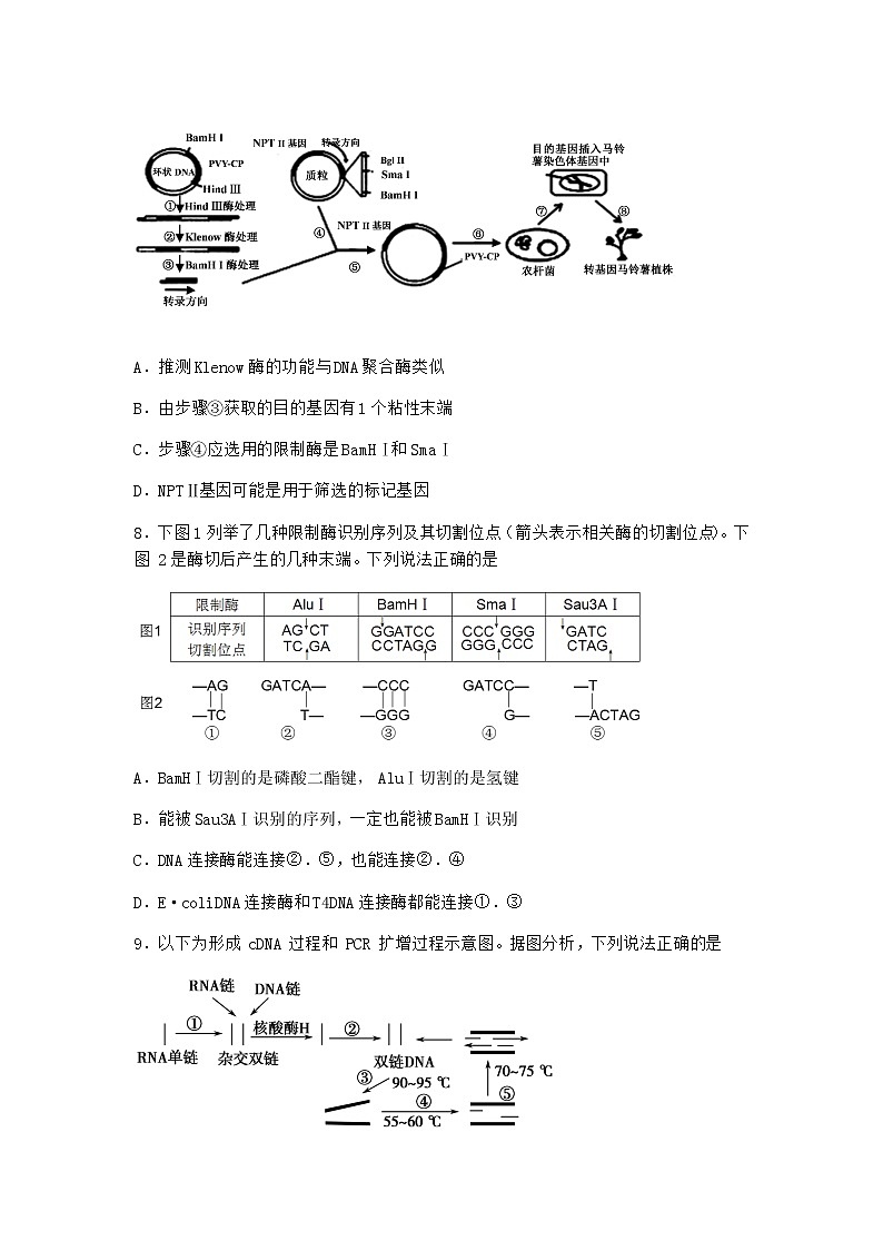 北师大版高中生物选择性必修3第二节基因工程的基本工具随堂作业含答案103