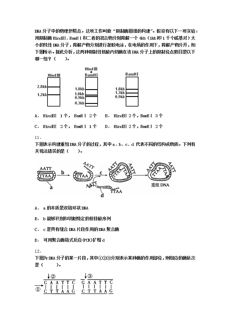 北师大版高中生物选择性必修3第二节基因工程的基本工具随堂作业含答案203