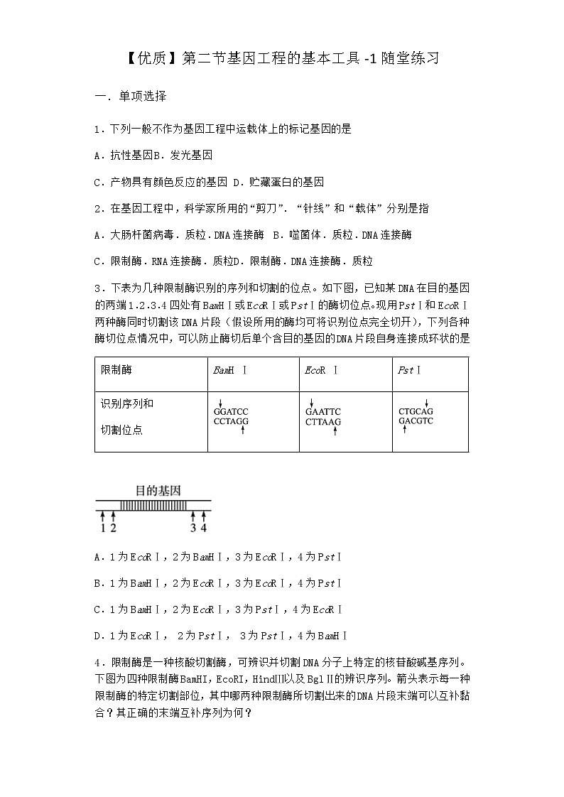 北师大版高中生物选择性必修3第二节基因工程的基本工具随堂作业含答案301