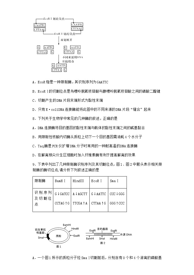 北师大版高中生物选择性必修3第二节基因工程的基本工具随堂作业含答案303