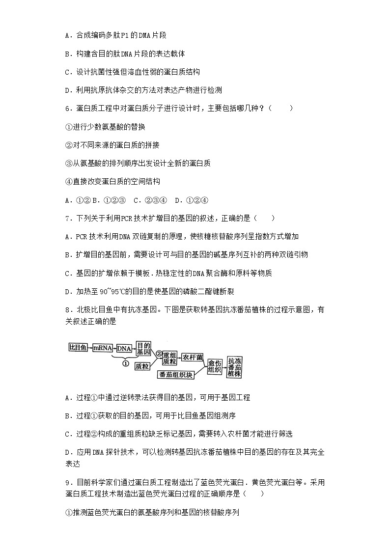 北师大版高中生物选择性必修3第五节蛋白质工程随堂作业含答案102