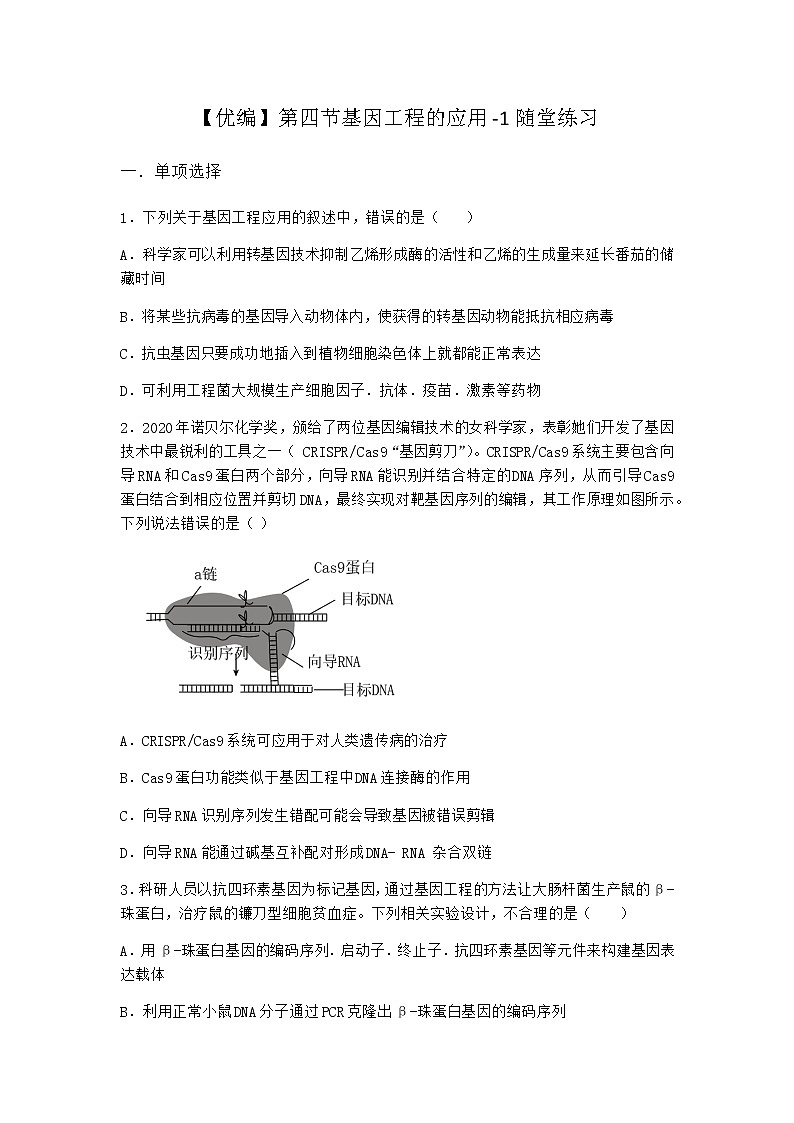 北师大版高中生物选择性必修3第四节基因工程的应用随堂作业含答案101
