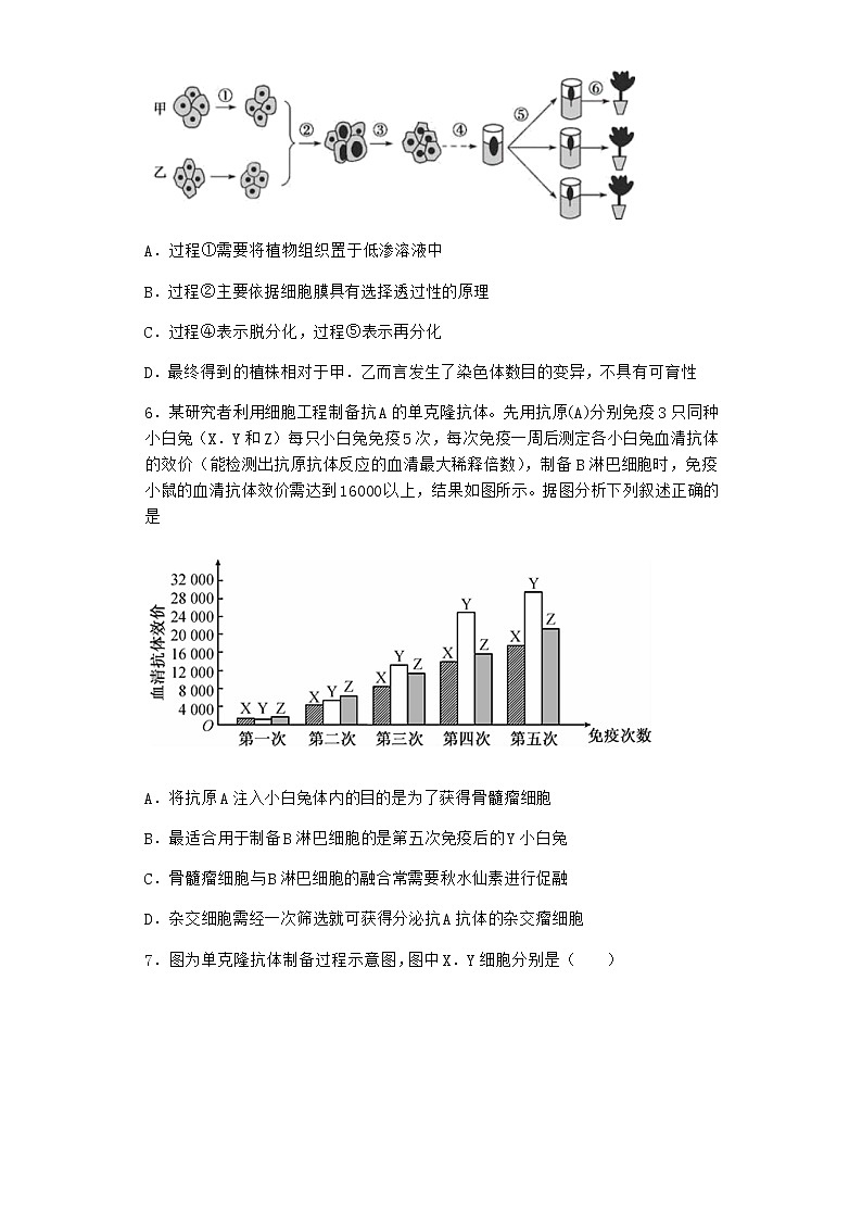 北师大版高中生物选择性必修3第二节动物细胞工程优选作业含答案303