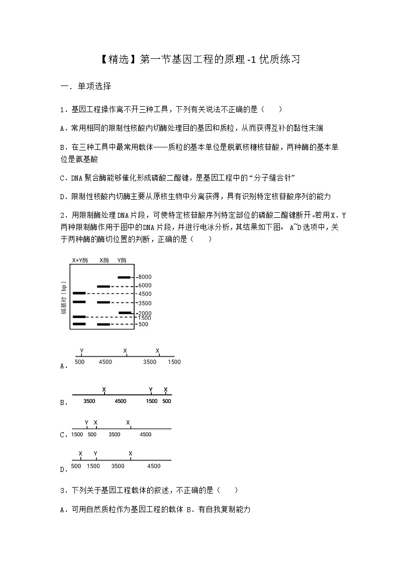 北师大版高中生物选择性必修3第一节基因工程的原理优质作业含答案4第1页