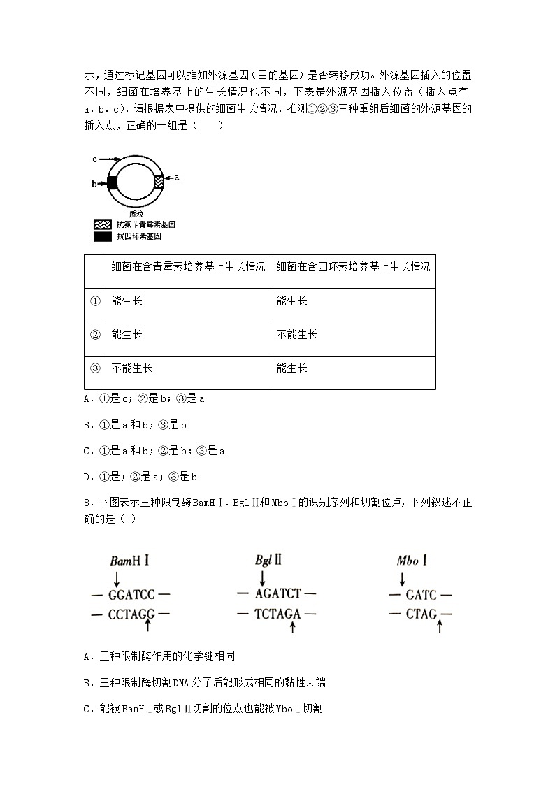 北师大版高中生物选择性必修3第一节基因工程的原理优质作业含答案4第3页