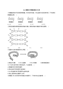 北师大版 (2019)选择性必修3 生物技术与工程第二节 基因工程的基本工具当堂检测题