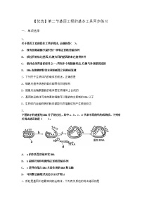 高中生物第二节 基因工程的基本工具综合训练题