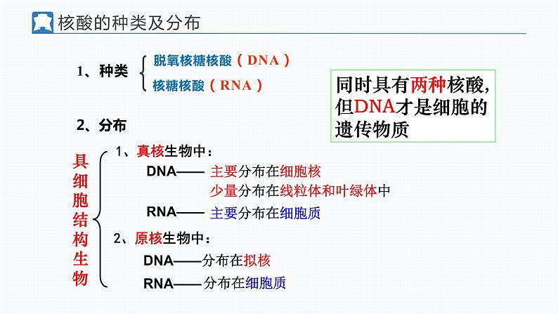 核酸是遗传信息的携带者+课件第6页