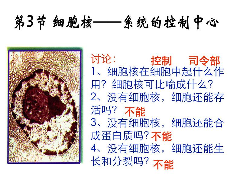 3-3细胞核——系统的控制中心课件PPT第1页