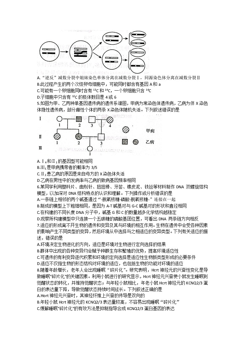 山东省临沂市2023届高三下学期一模考试（2月）+生物+Word版含答案02