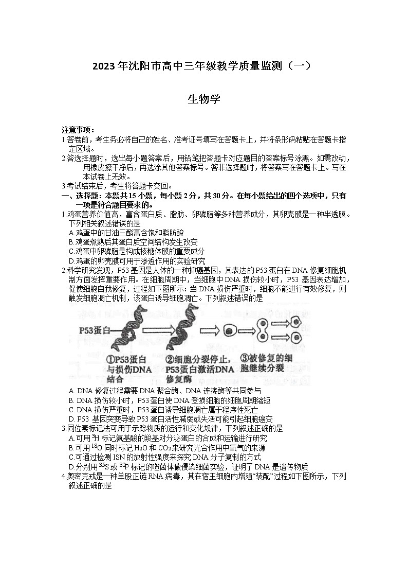 2023届辽宁省沈阳市高三下学期质量监测（一）生物试题第1页