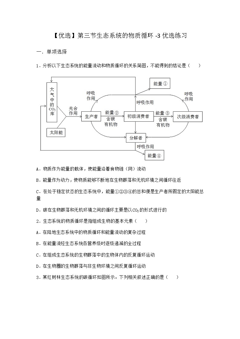 北师大版高中生物选择性必修2第三节生态系统的物质循环优选作业含答案201