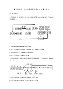 高中生物北师大版 (2019)选择性必修2 生物与环境第3章 生态系统第二节 生态系统的能量流动巩固练习