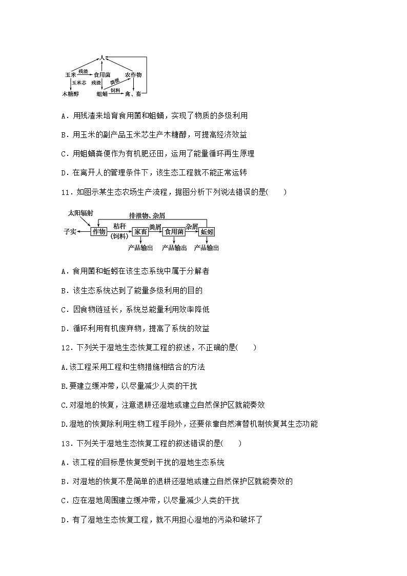 北师大版高中生物选择性必修2第四节生态工程在环境保护中的应用课堂作业含答案03