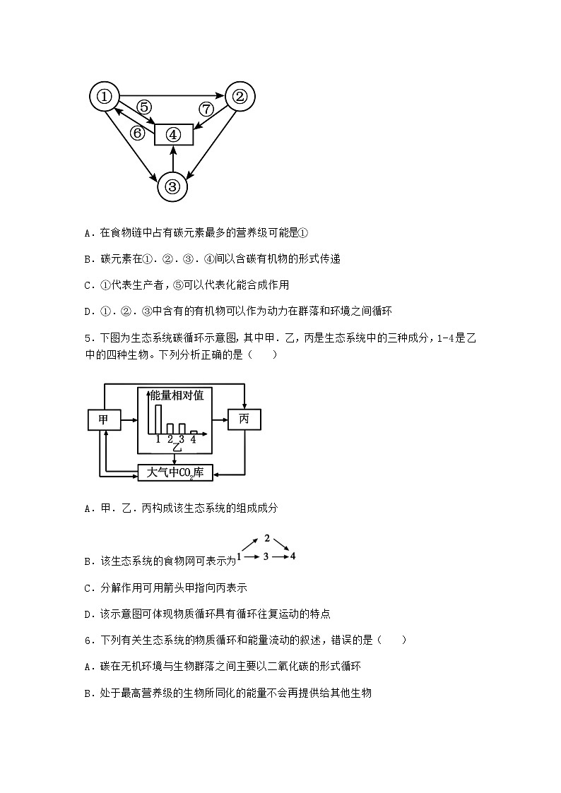 北师大版高中生物选择性必修2第三节生态系统的物质循环课时作业含答案202