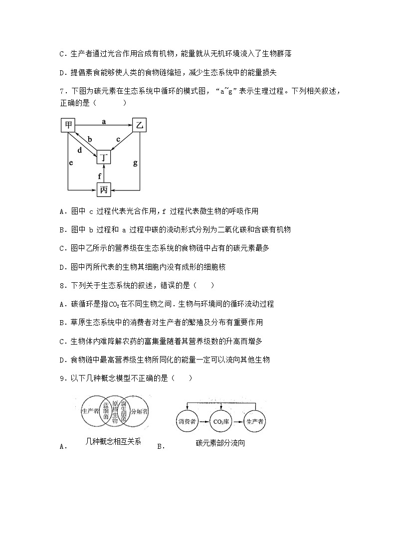 北师大版高中生物选择性必修2第三节生态系统的物质循环课时作业含答案203