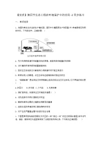 高中生物北师大版 (2019)选择性必修2 生物与环境第四节 生态工程在环境保护中的应用巩固练习