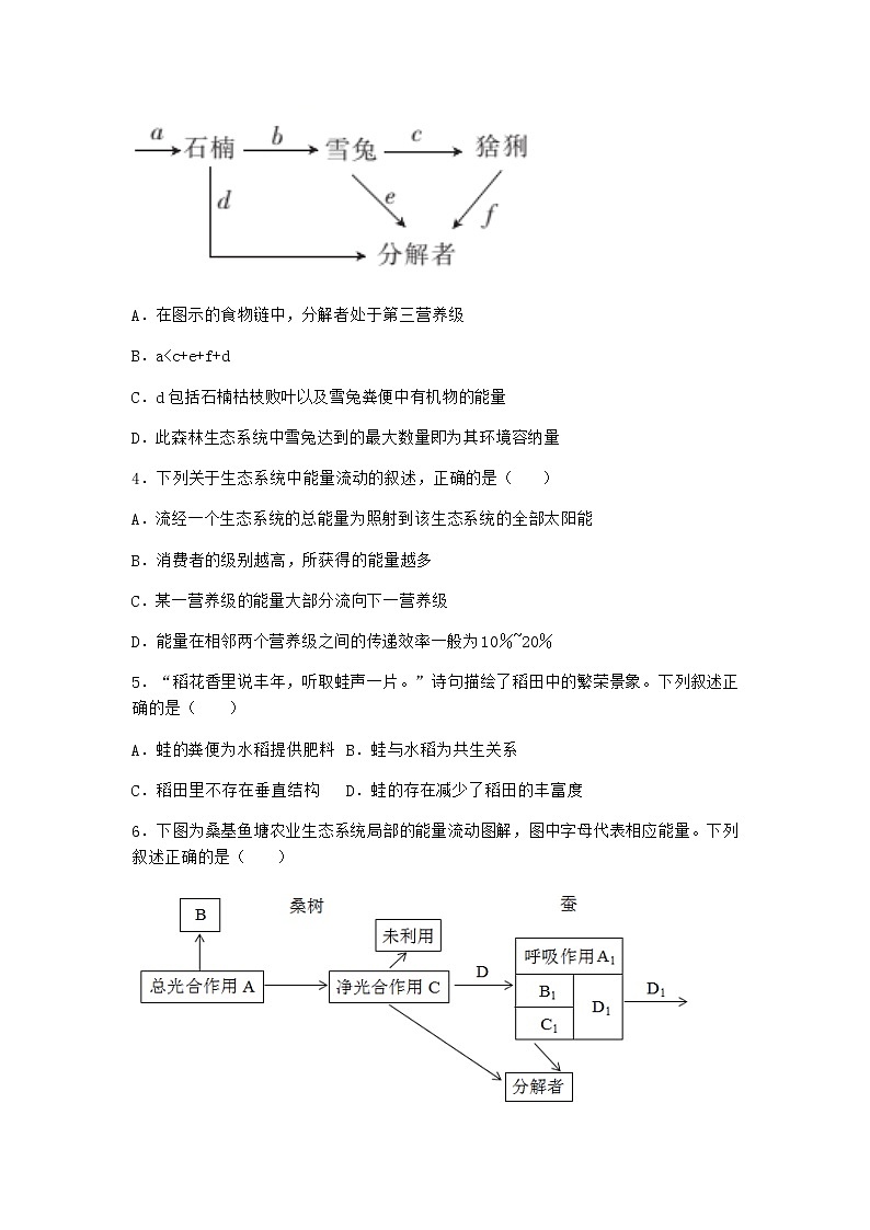 北师大版高中生物选择性必修2第二节生态系统的能量流动作业含答案4第2页