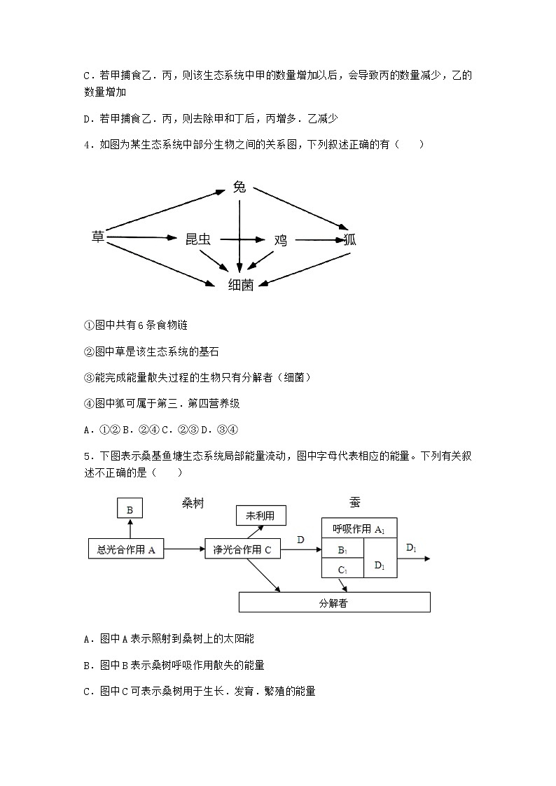 北师大版高中生物选择性必修2第二节生态系统的能量流动作业含答案502