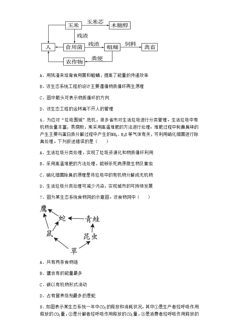 北师大版高中生物选择性必修2第三节生态系统的物质循环作业含答案5第2页
