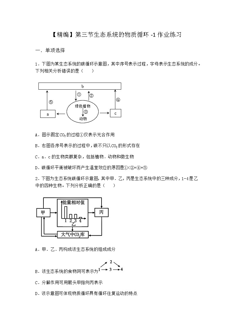 北师大版高中生物选择性必修2第三节生态系统的物质循环作业含答案6第1页