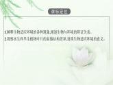 北师大版高中生物选择性必修二生物对环境的适应课件