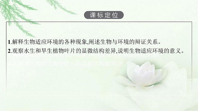 北师大版高中生物选择性必修二生物对环境的适应课件03