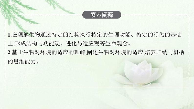 北师大版高中生物选择性必修二生物对环境的适应课件04