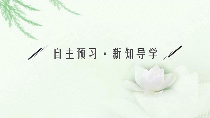 北师大版高中生物选择性必修二生物对环境的适应课件05