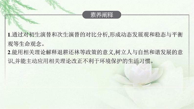 北师大版高中生物选择性必修二群落的演替课件第4页