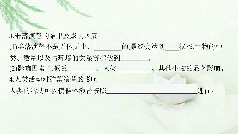 北师大版高中生物选择性必修二群落的演替课件第8页