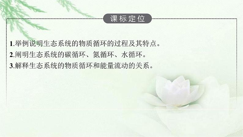 北师大版高中生物选择性必修二生态系统的物质循环课件第3页