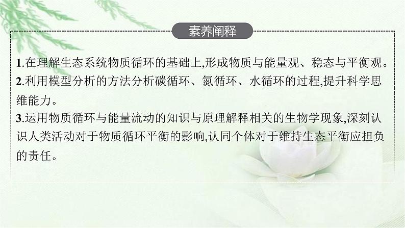 北师大版高中生物选择性必修二生态系统的物质循环课件第4页