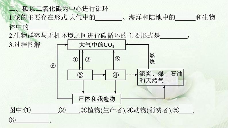 北师大版高中生物选择性必修二生态系统的物质循环课件第7页