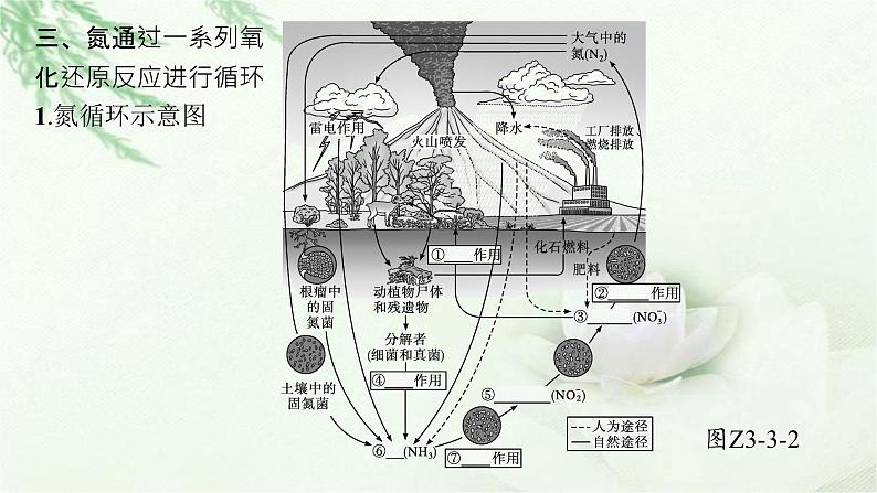 北师大版高中生物选择性必修二生态系统的物质循环课件第8页