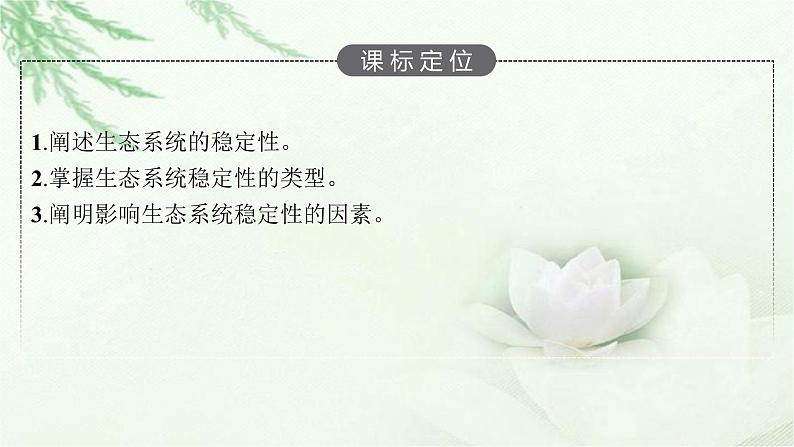 北师大版高中生物选择性必修二生态系统的相对稳定性课件03