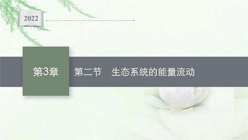 北师大版高中生物选择性必修二生态系统的能量流动课件01