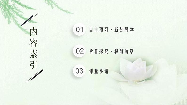 北师大版高中生物选择性必修二生态系统的能量流动课件02