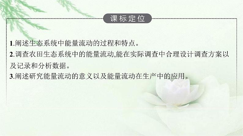 北师大版高中生物选择性必修二生态系统的能量流动课件03