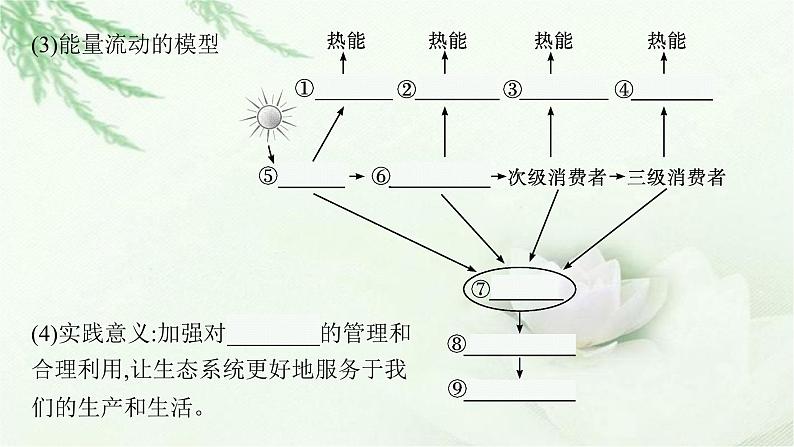 北师大版高中生物选择性必修二生态系统的能量流动课件08