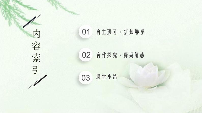 北师大版高中生物选择性必修二生态系统稳定性的维持课件02